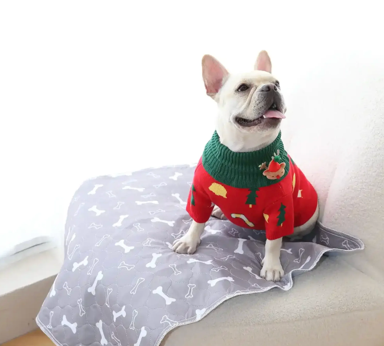 Pawsense - The Last Pee Pad You'll Get