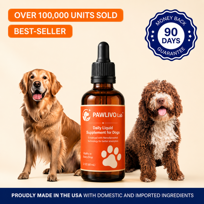 The Science-Backed Daily Formula to Support Your Dog’s Health & Vitality