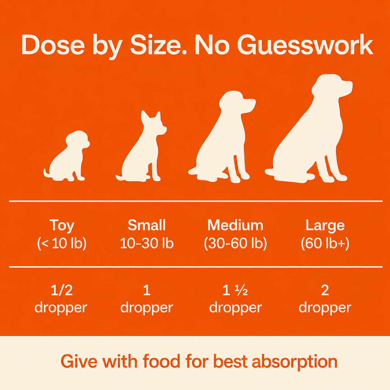 The Science-Backed Daily Formula to Support Your Dog’s Health & Vitality