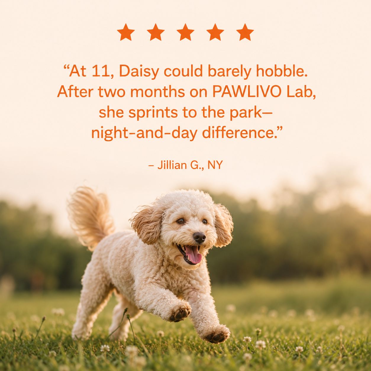 The Science-Backed Daily Formula to Support Your Dog’s Health & Vitality