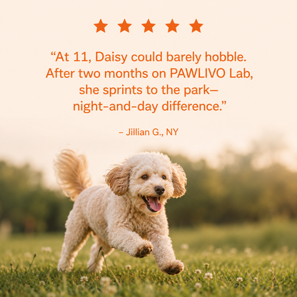 The Science-Backed Daily Formula to Support Your Dog’s Health & Vitality