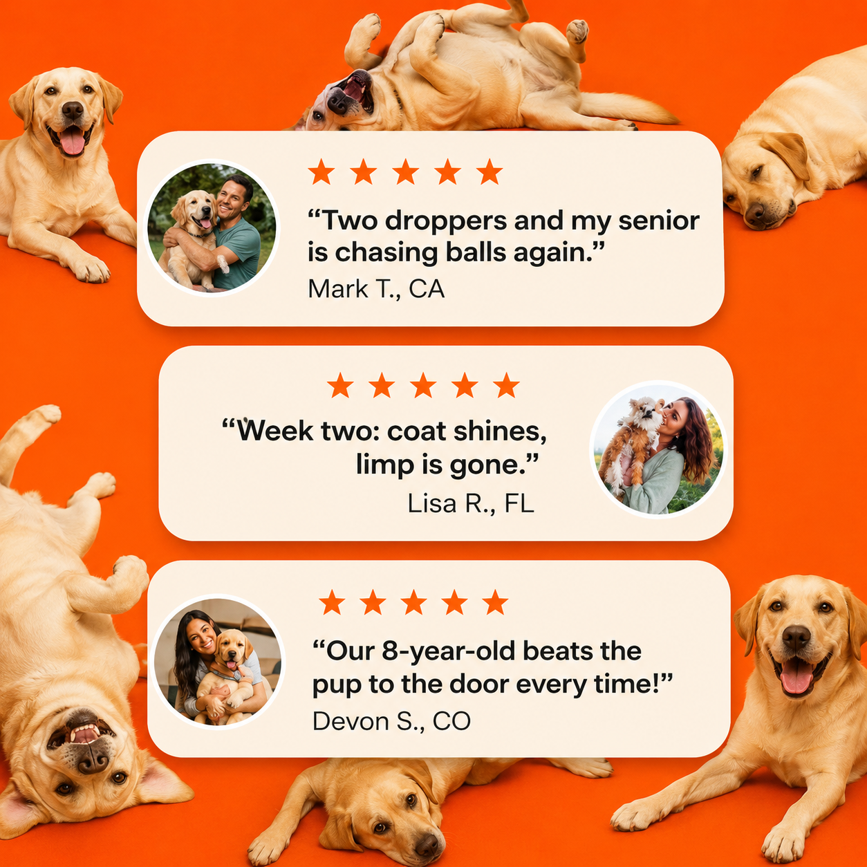 The Science-Backed Daily Formula to Support Your Dog’s Health & Vitality